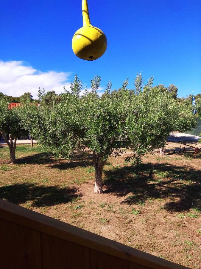 Farma Giannis Apartment Sarti Bagian luar foto